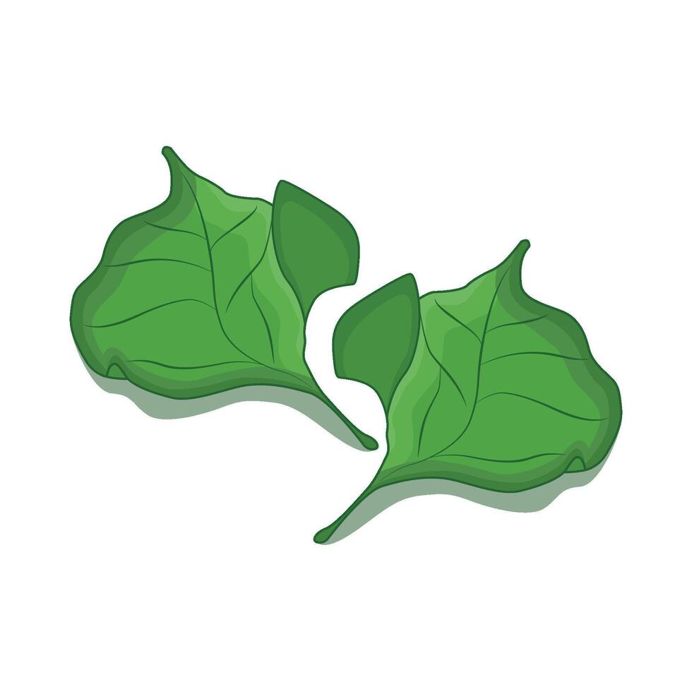 illustration of leaf vector