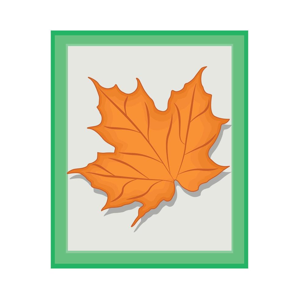 illustration of maple leaf vector