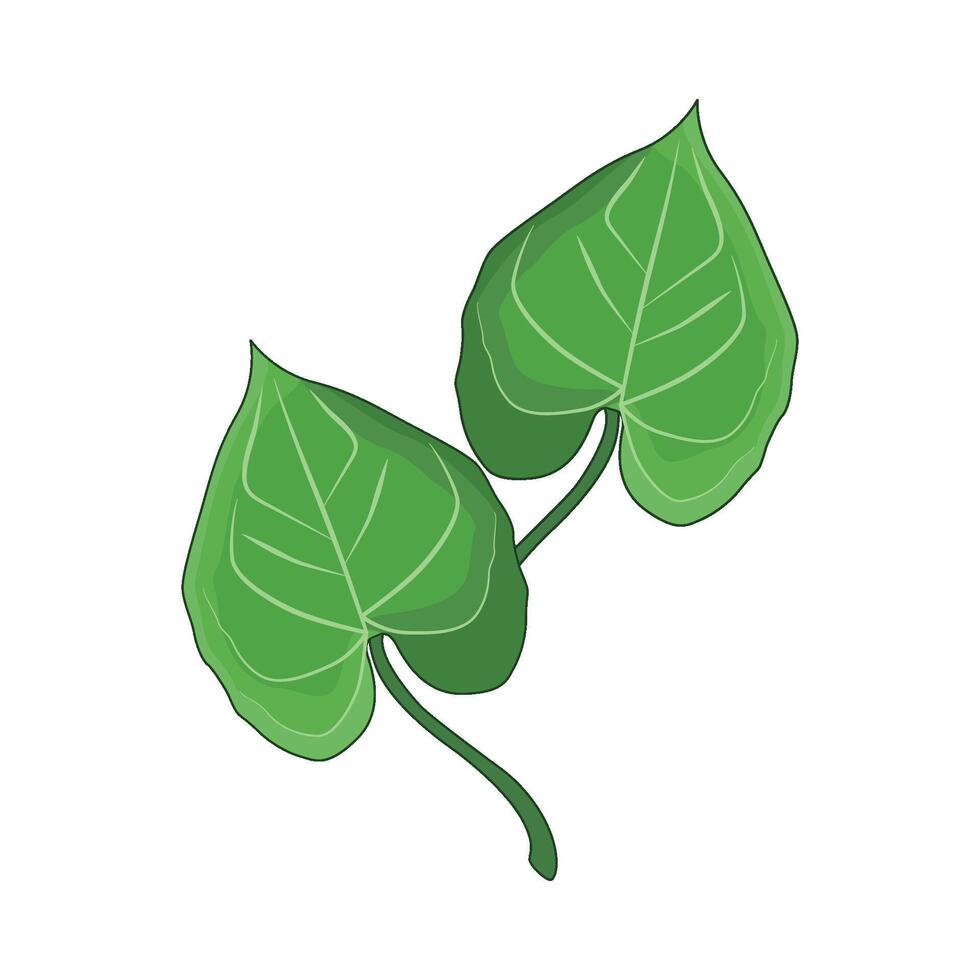 illustration of leaf vector