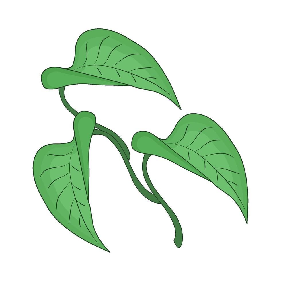 illustration of leaf vector