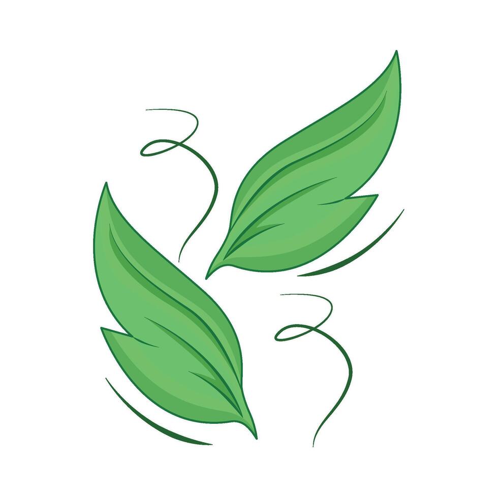 illustration of leaf vector