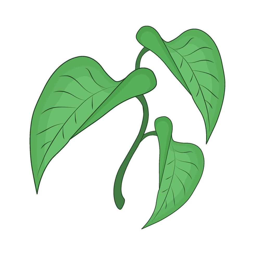 illustration of leaf vector