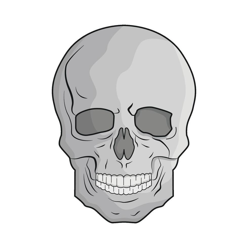 illustration of skull vector