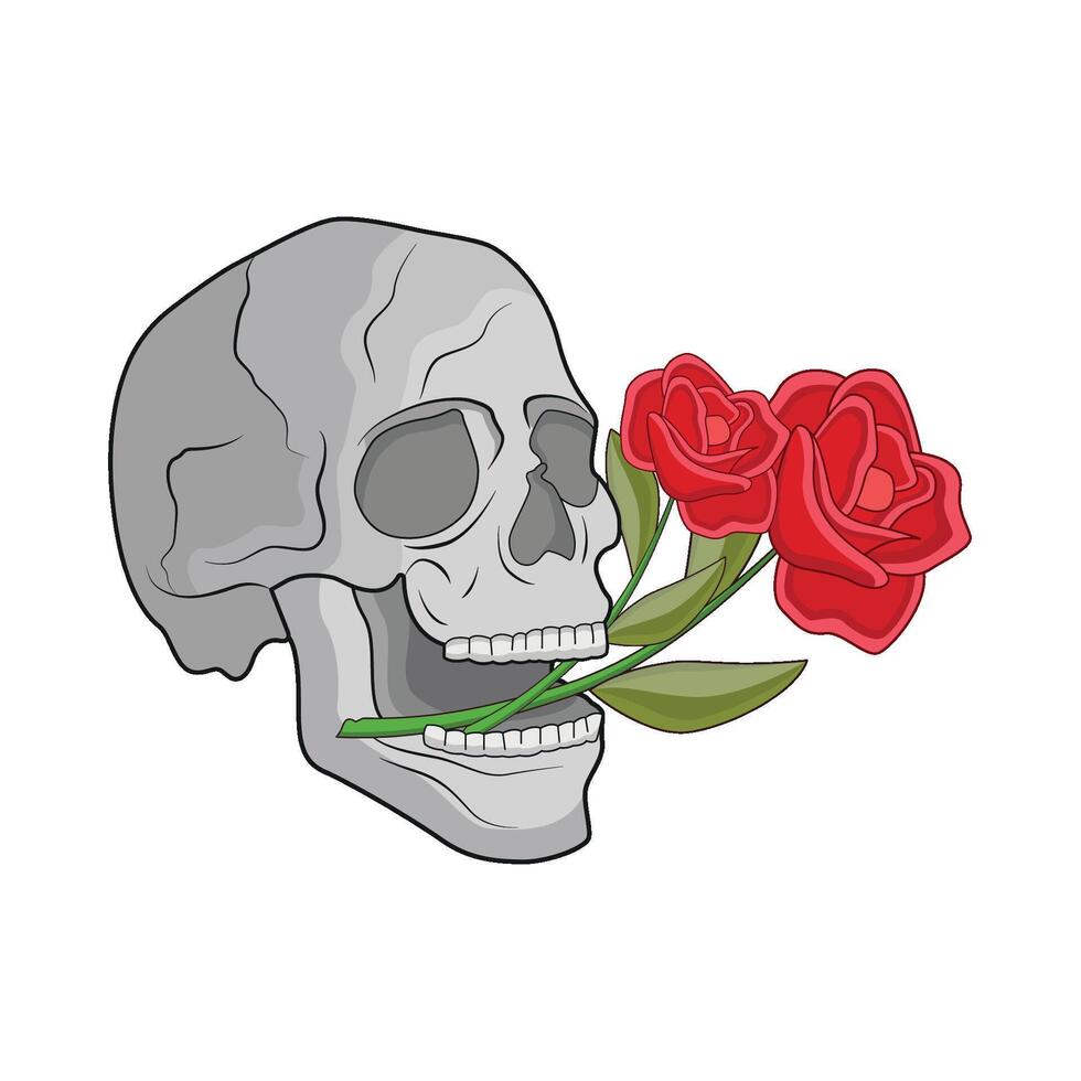 illustration of skull and rose vector