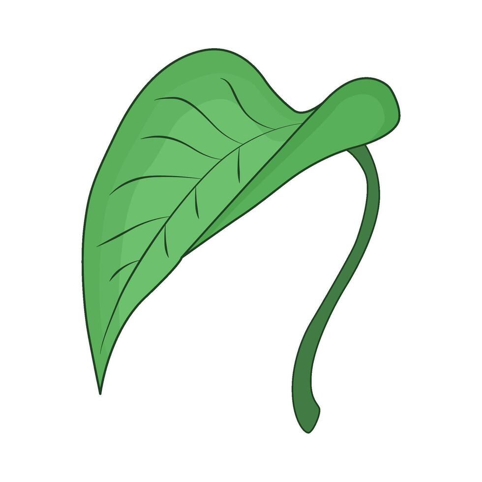 illustration of leaf vector