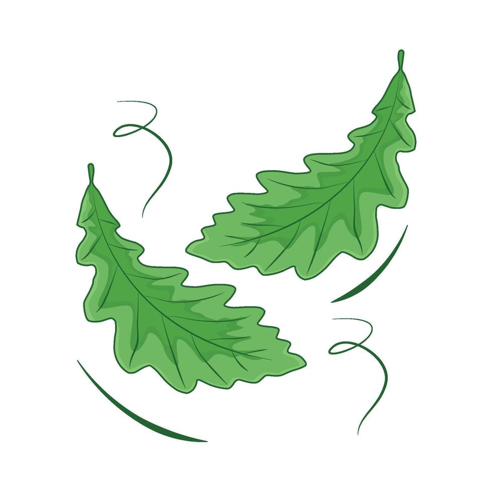 illustration of leaf vector