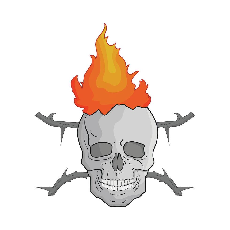 illustration of skull and fire vector