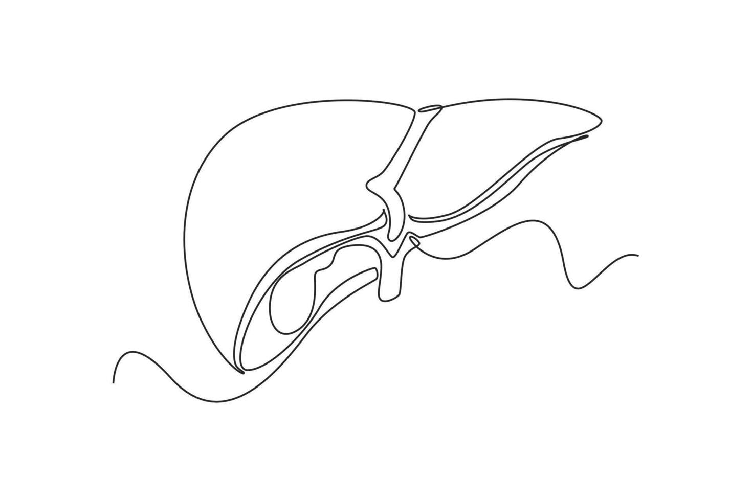 uno continuo línea dibujo de anatomía de humano concepto. garabatear ilustración en sencillo lineal estilo. vector