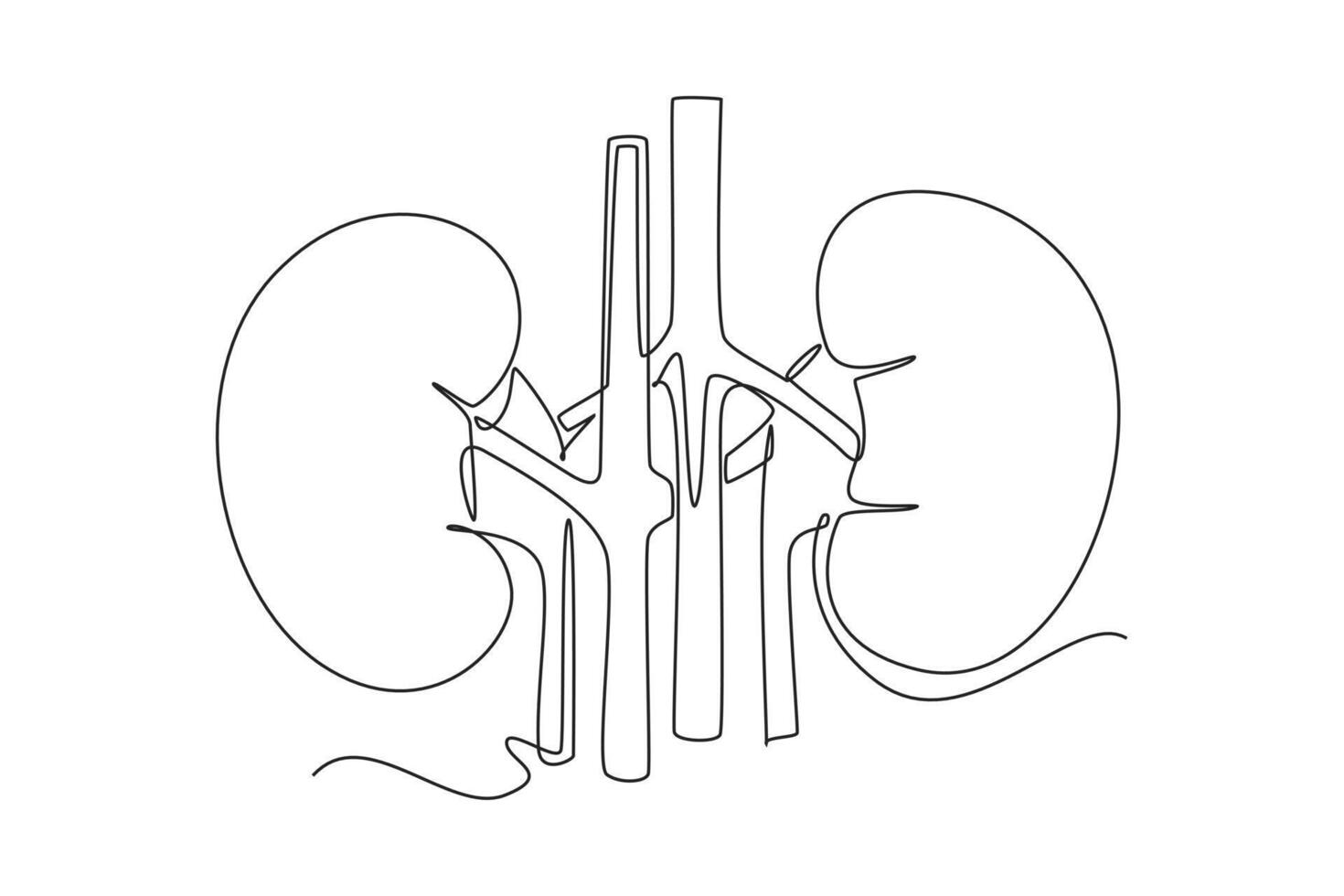 One continuous line drawing of anatomy of human concept. Doodle illustration in simple linear style. vector