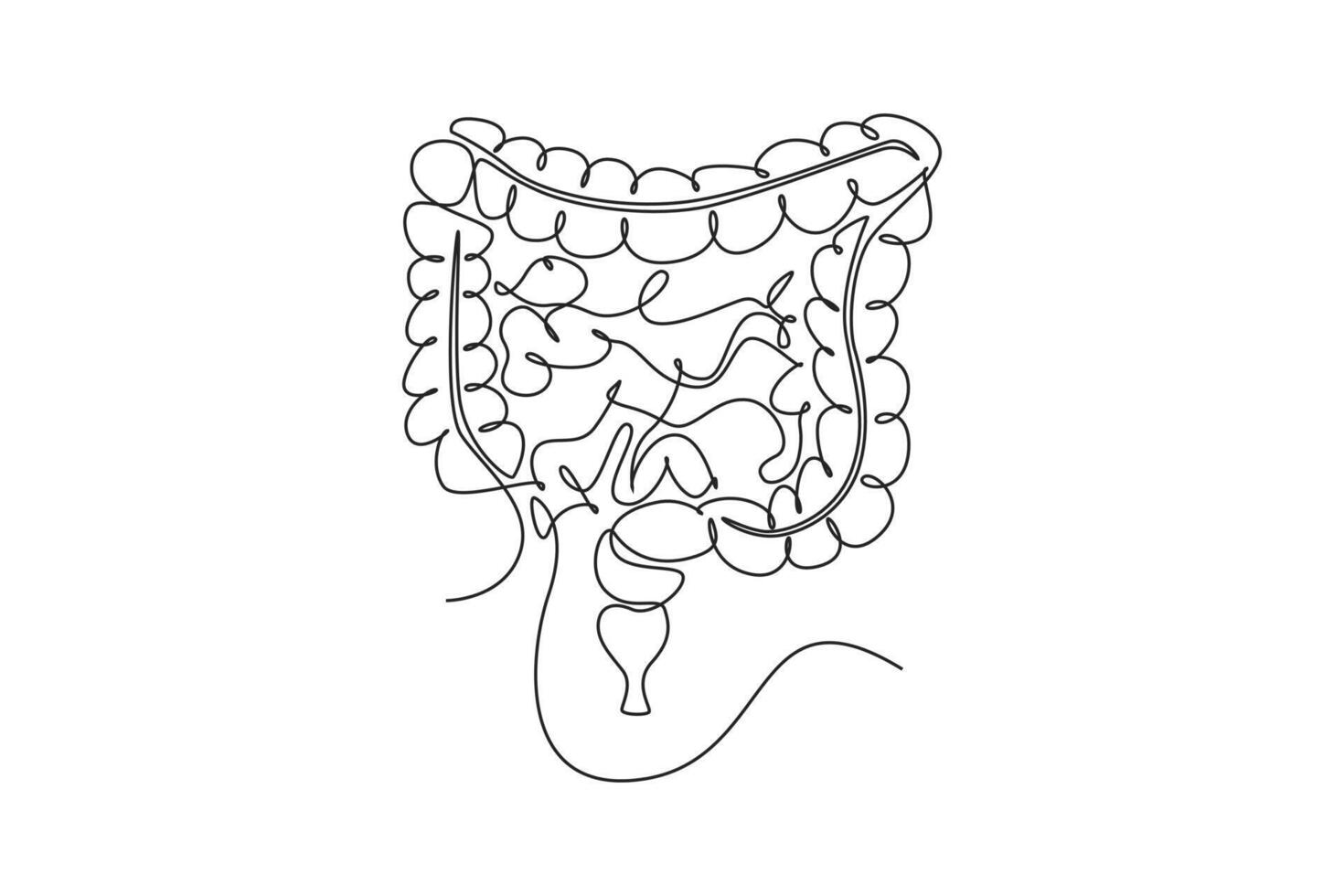 One continuous line drawing of anatomy of human concept. Doodle illustration in simple linear style. vector