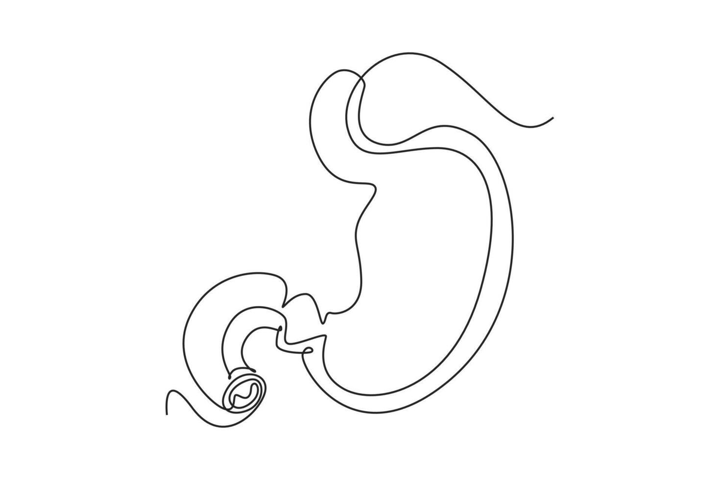 One continuous line drawing of anatomy of human concept. Doodle illustration in simple linear style. vector