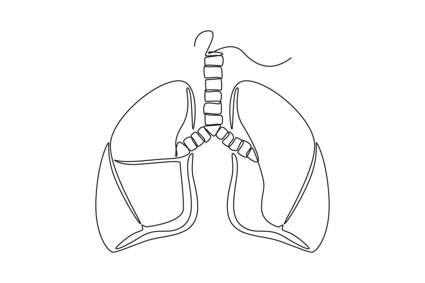 uno continuo línea dibujo de anatomía de humano concepto. garabatear ilustración en sencillo lineal estilo. vector