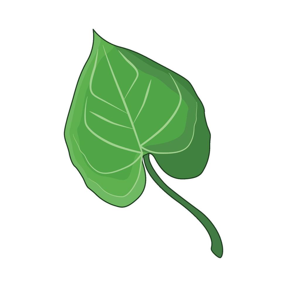 illustration of leaf vector