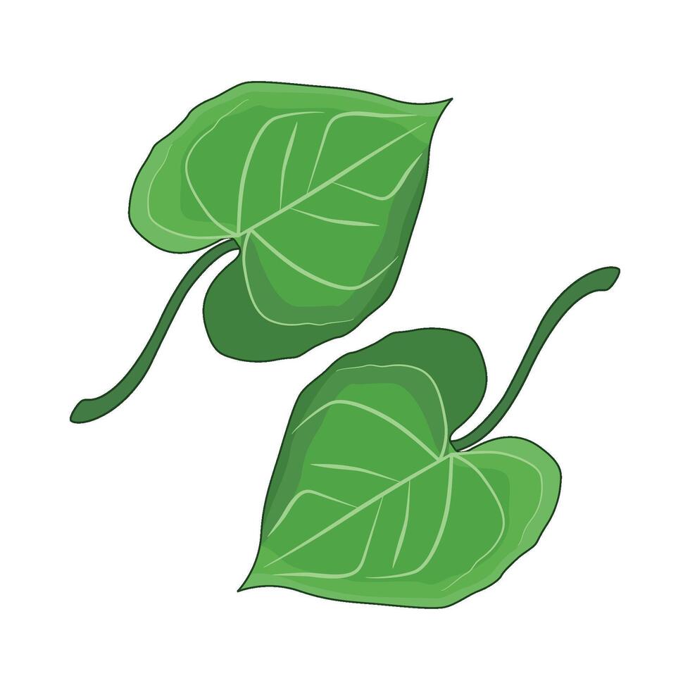 illustration of leaf vector
