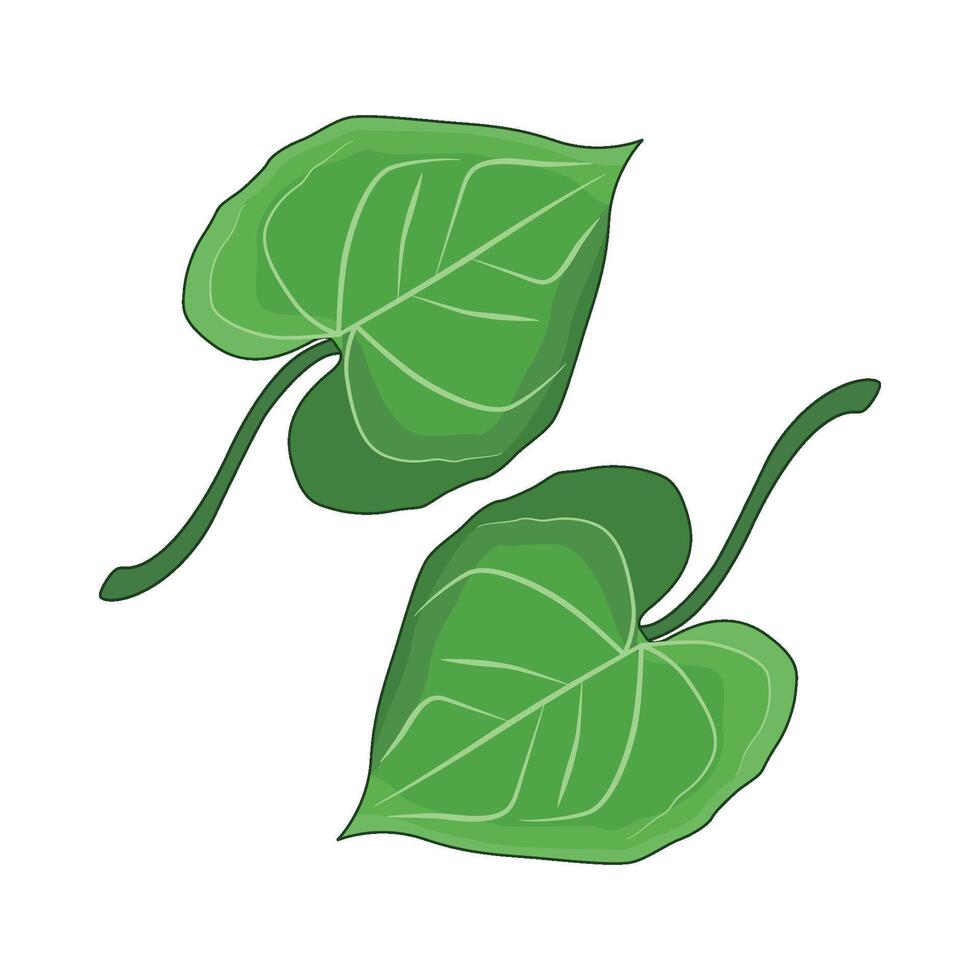 illustration of leaf vector