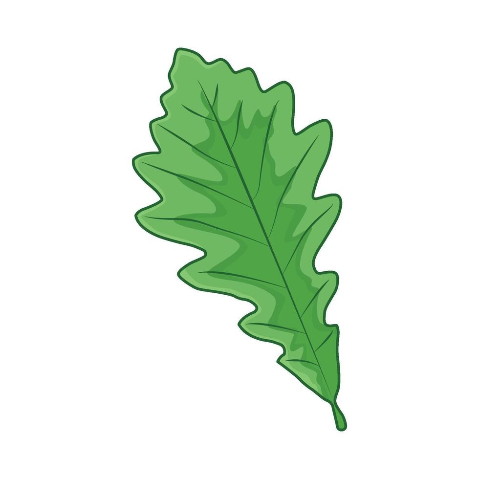 illustration of leaf vector