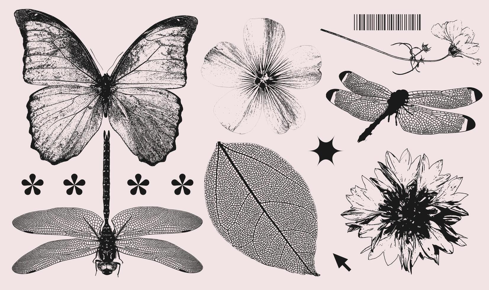 Retro photocopy effect summer nature elements collection. Wild flowers heads, butterfly, dragonfly with grunge punk messy texture. Trendy y2k aesthetic illustration. vector