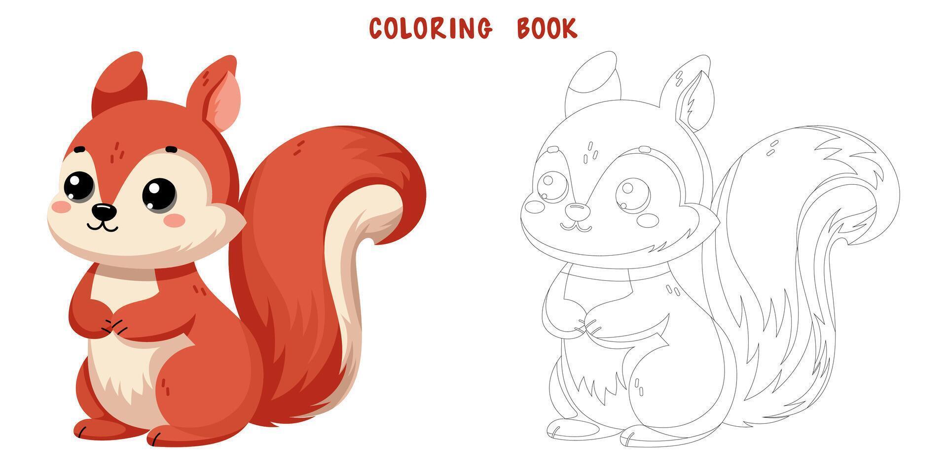 Coloring book of cute squirrel vector