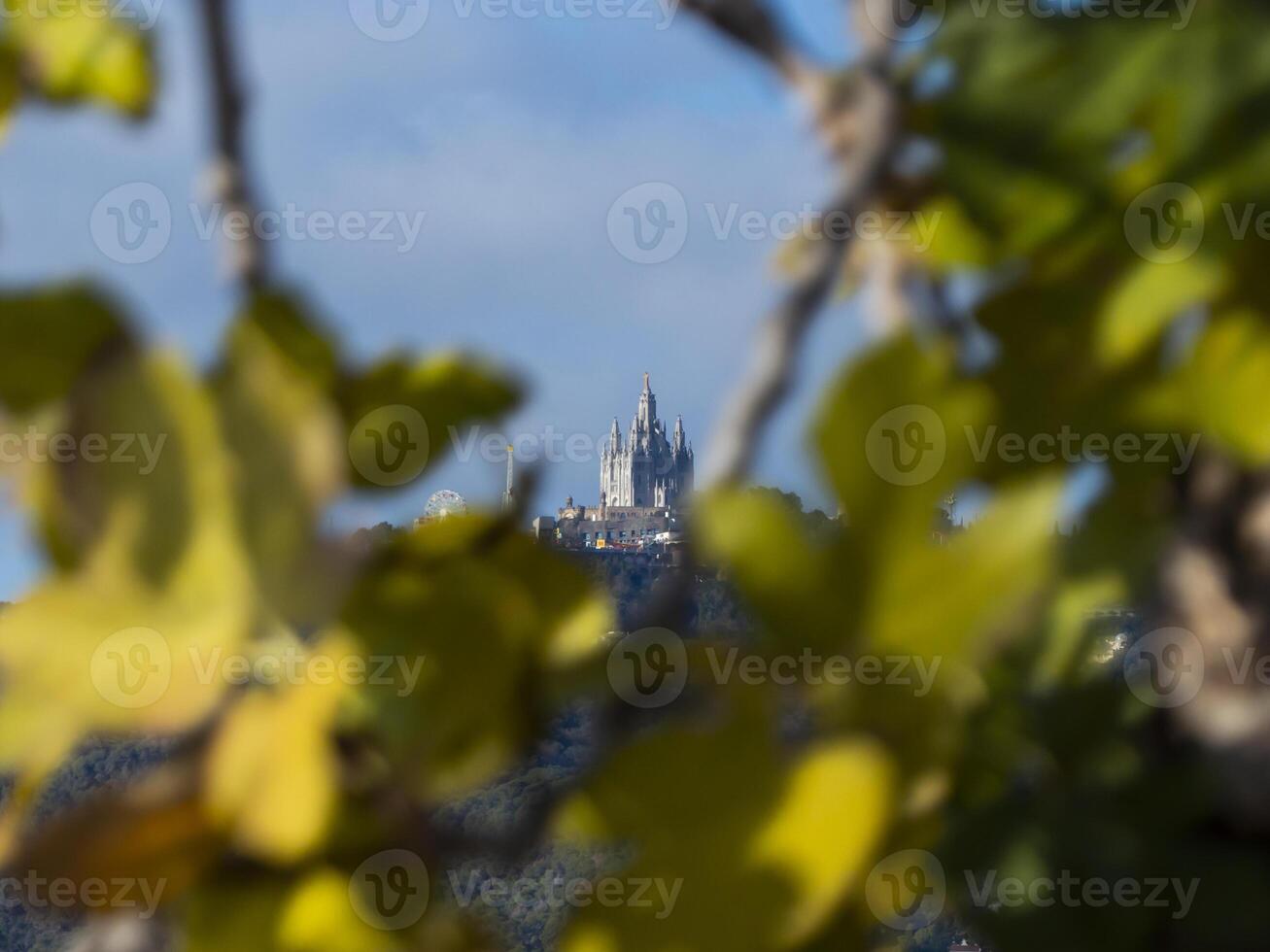 A church in the distance among the unfocused leaves photo