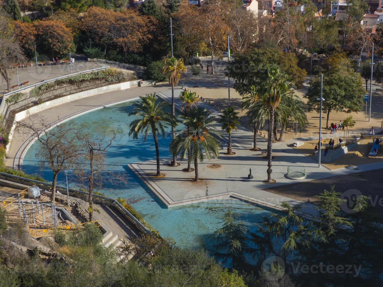 Top view of public park with palm trees and artificial pond photo