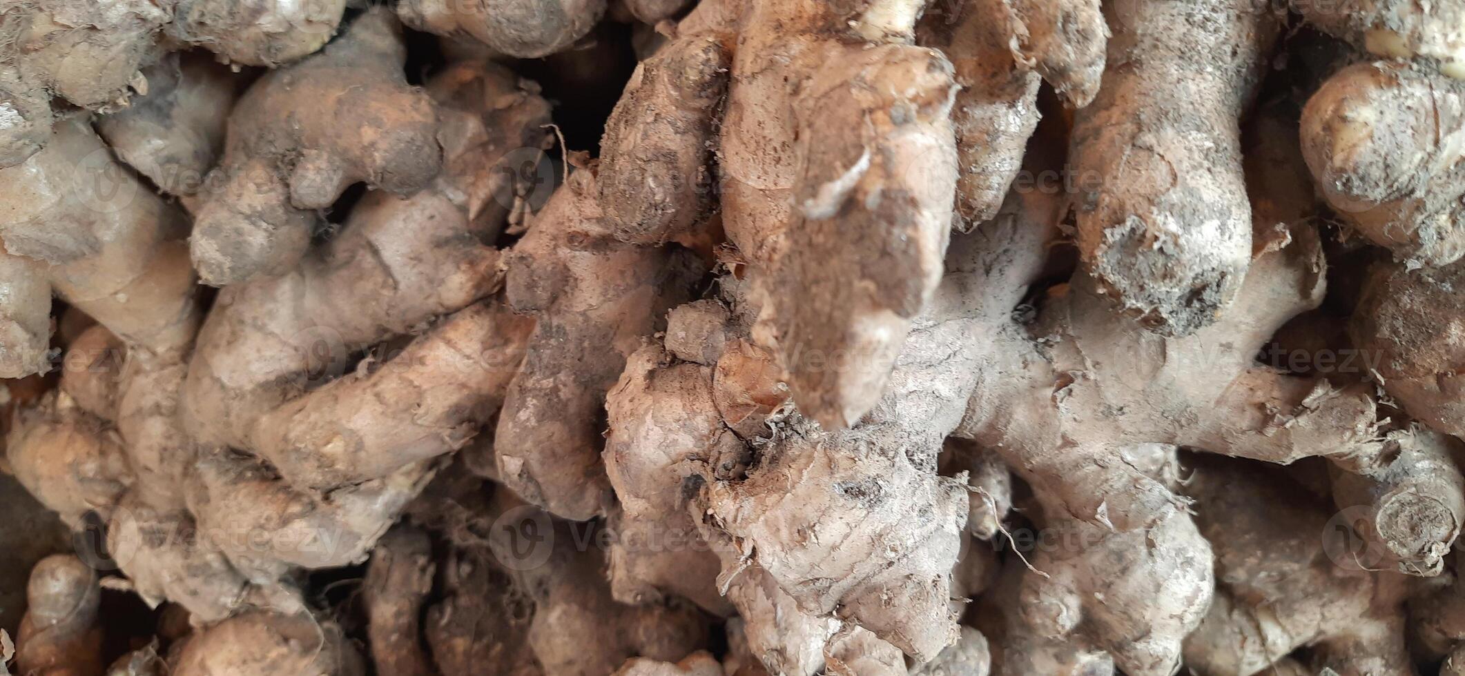 Heap of fresh ginger roots sold in traditional market Indonesia photo