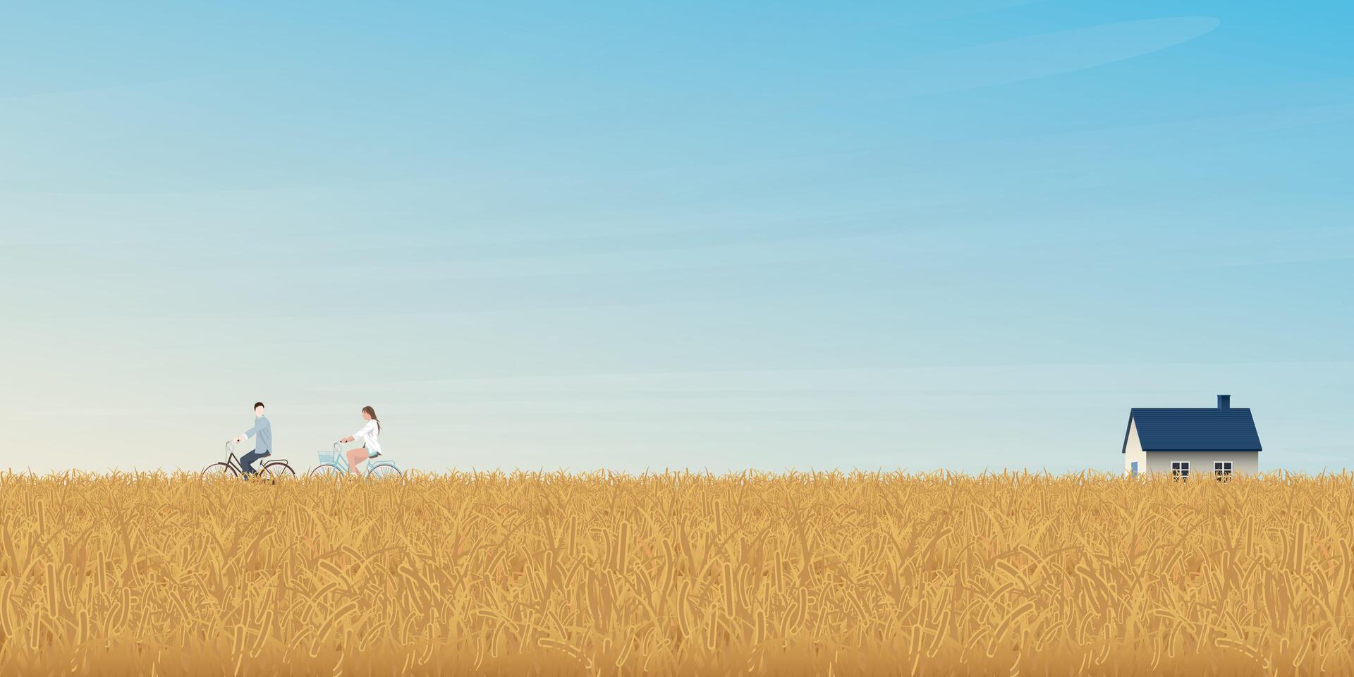 Man and woman riding bicycle together in wheat field have country house and blue sky background illustration. vector