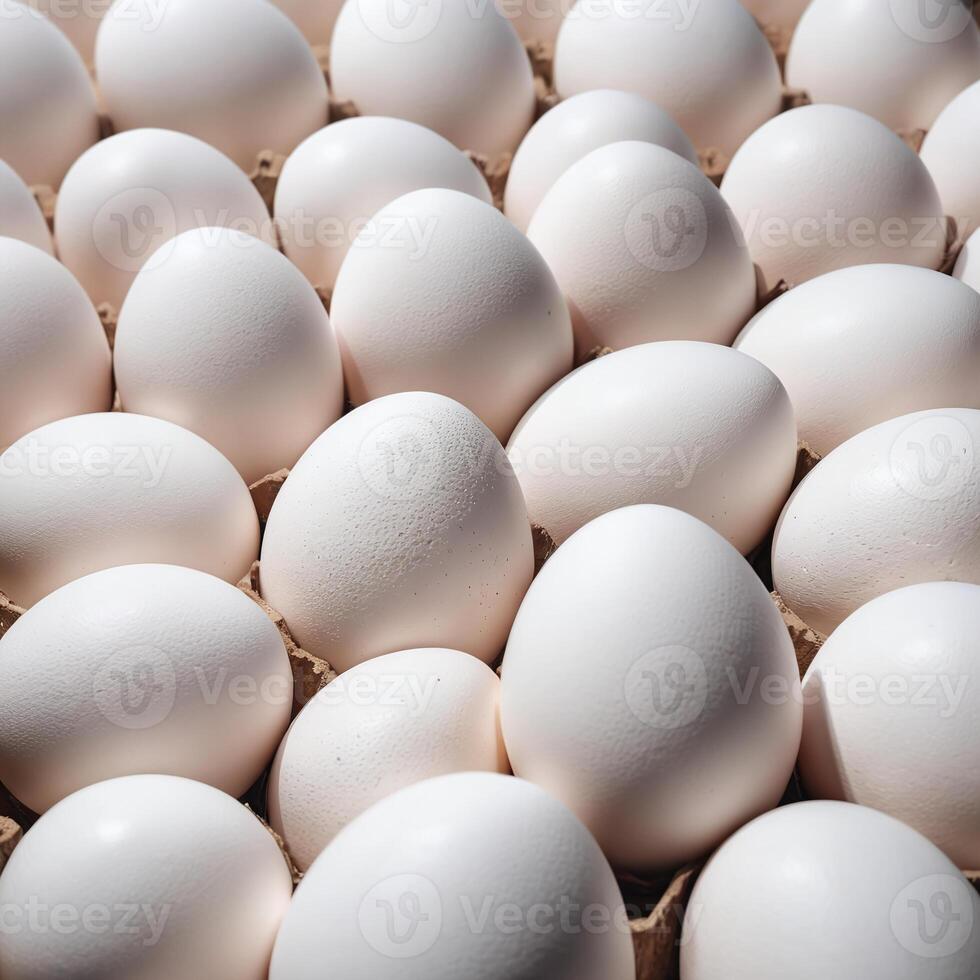 Rows of eggs in a carton close-up shot photo