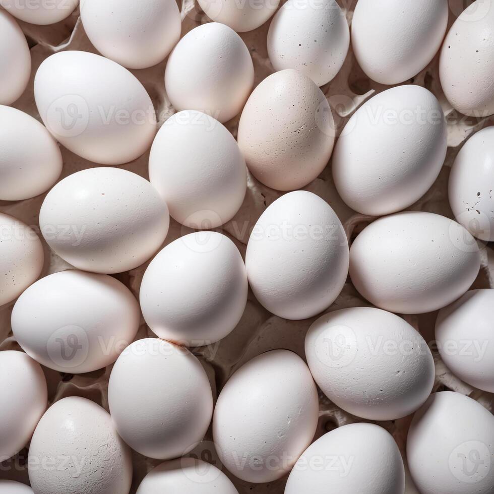 Rows of eggs in a carton close-up shot photo