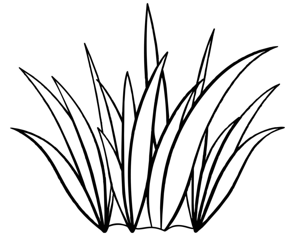 A bunch of grass illustration vector