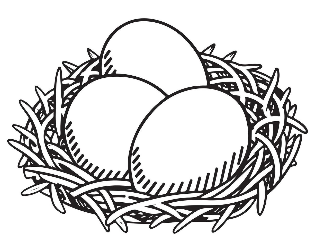 Egg in the nest drawn vector