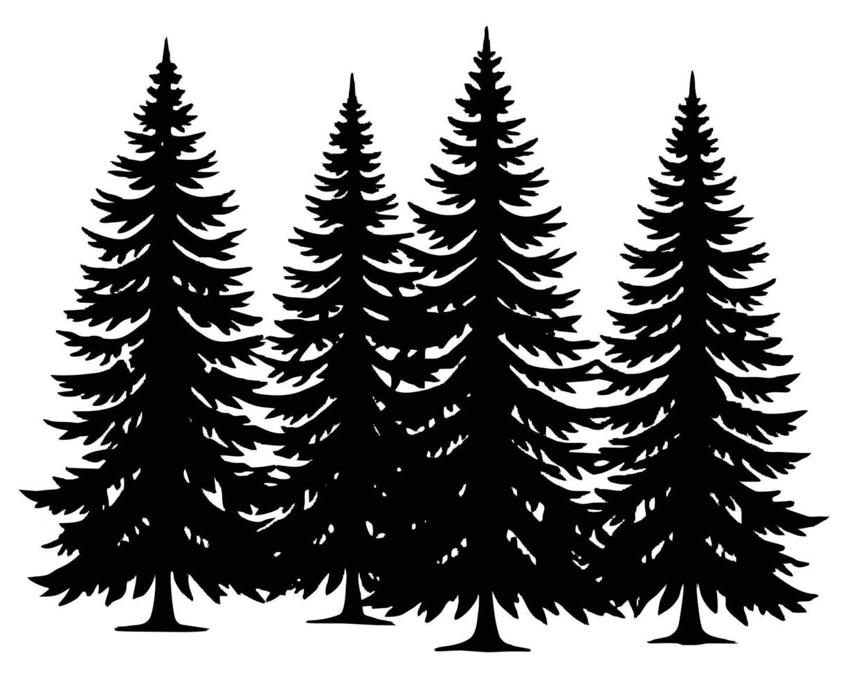 Black Spruce Trees Winter season design illustration vector
