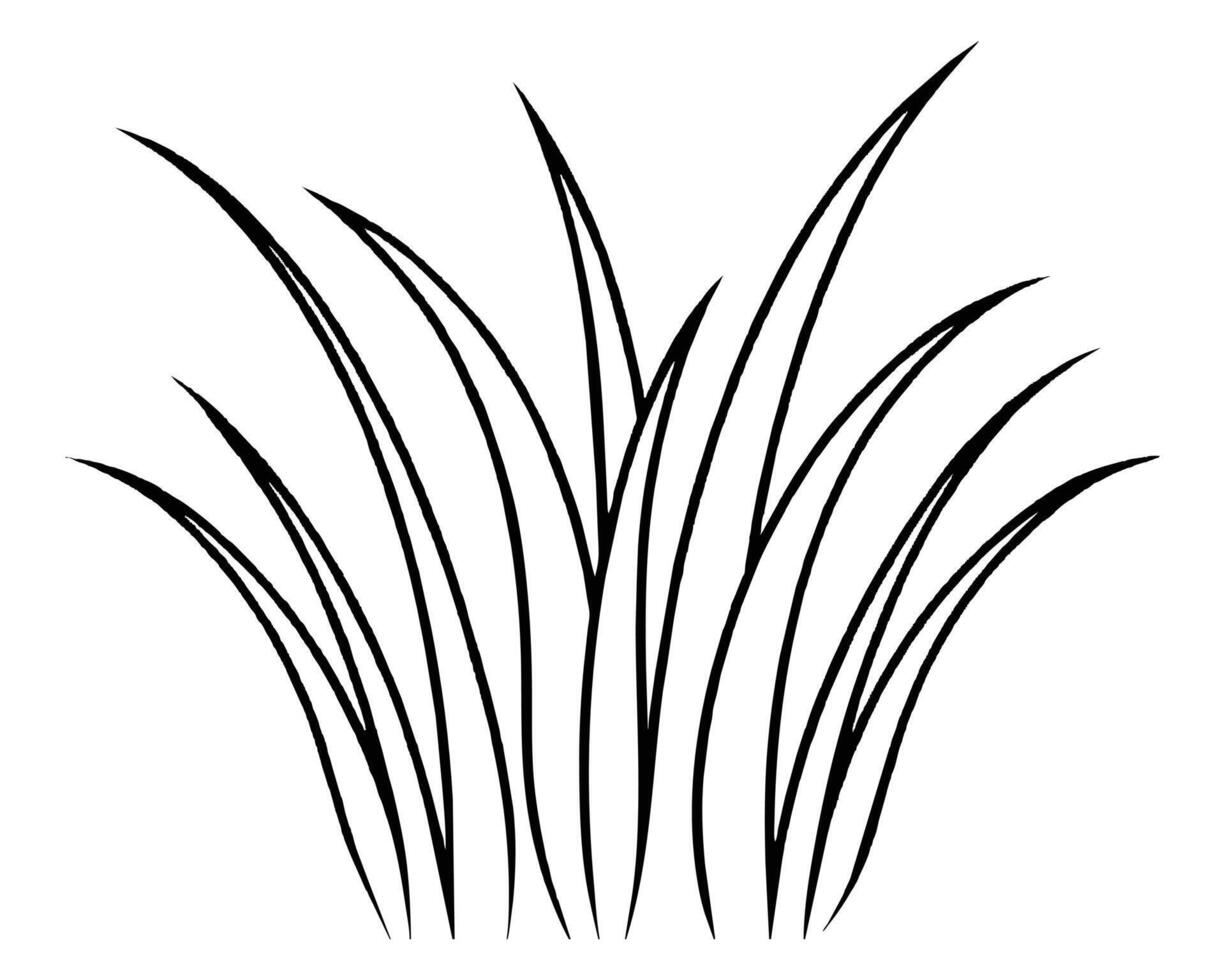 A bunch of grass illustration vector