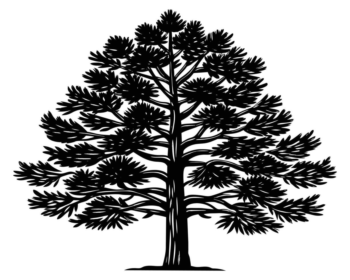 Hand drawn tree illustration vector