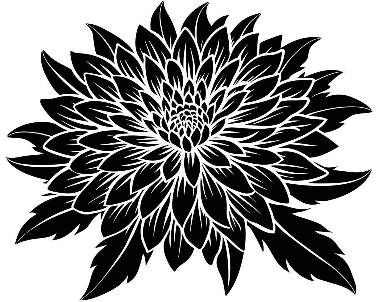 Black Silhouette Chrysanthemum Flower vector