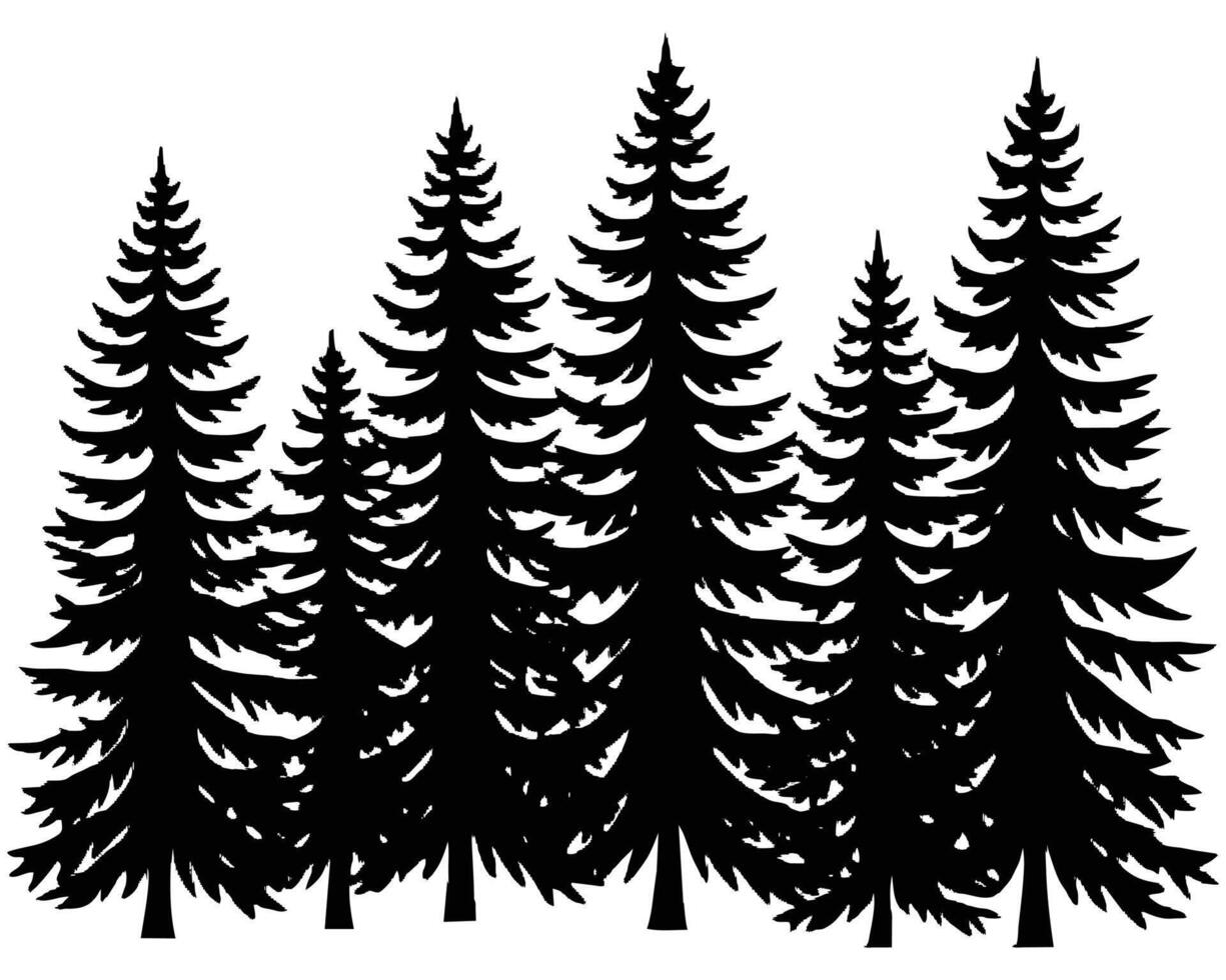 Black Spruce Trees Winter season design illustration vector