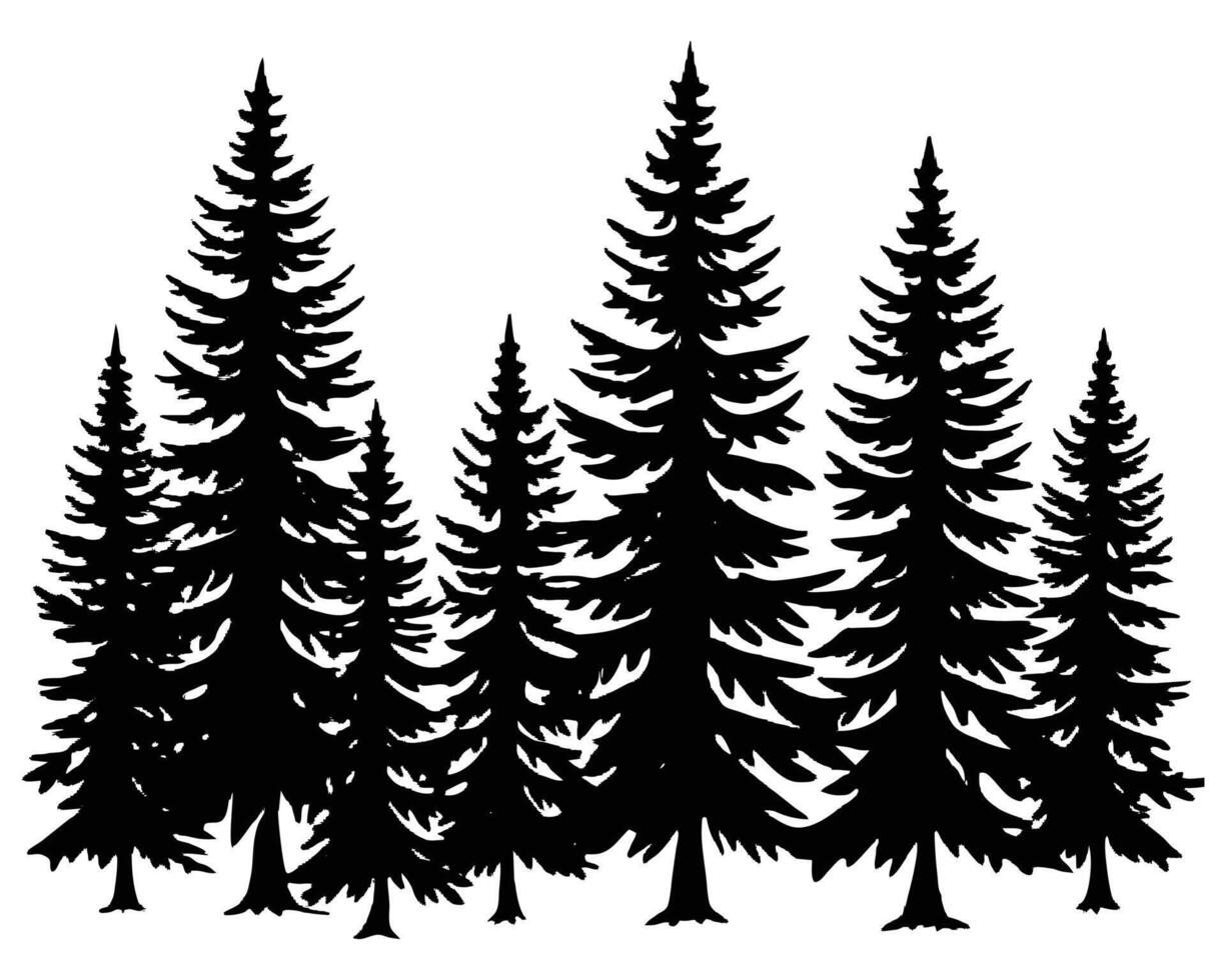 Black Spruce Trees Winter season design illustration vector