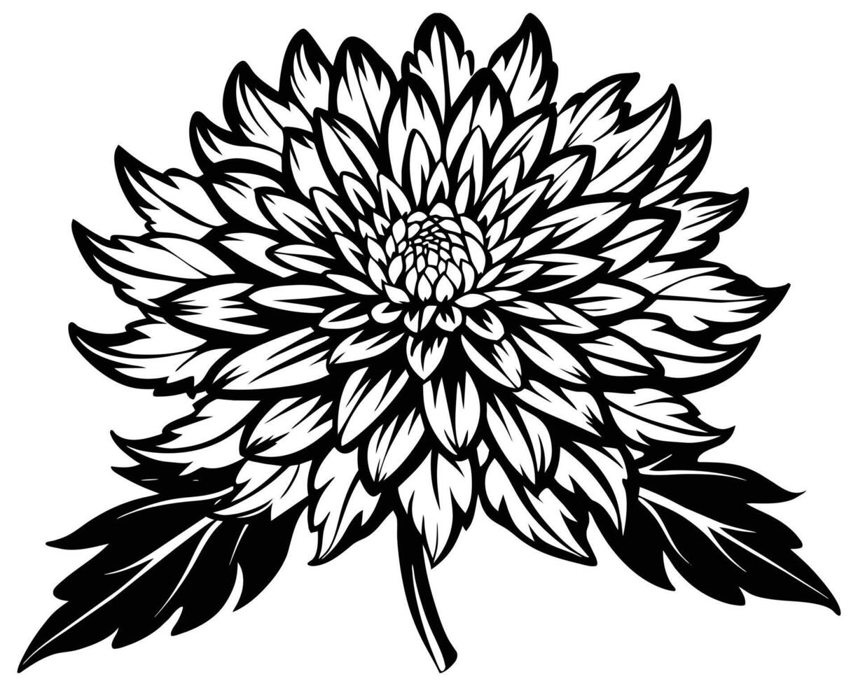 Black Silhouette Chrysanthemum Flower vector