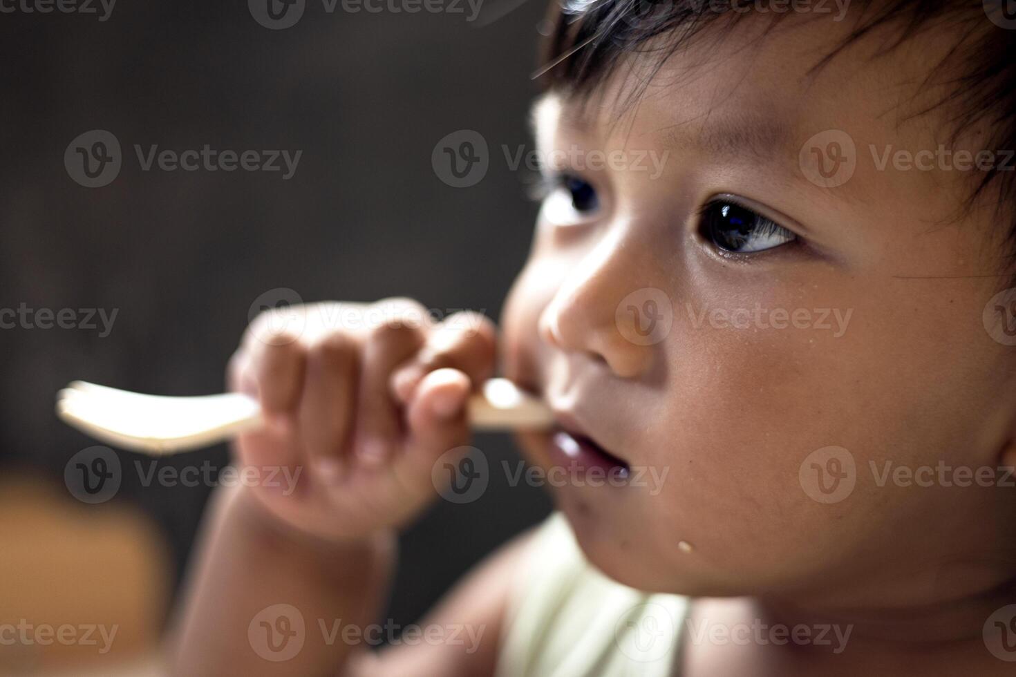 Little Boy Holding A Fork In His Mouth photo