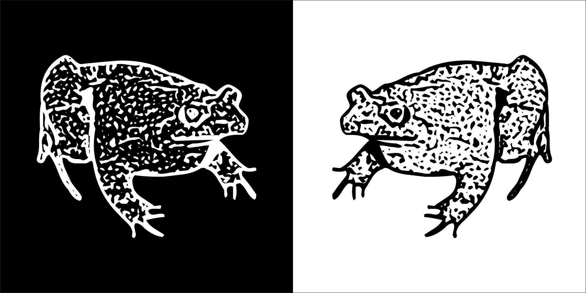Illustration graphics of frog icon vector