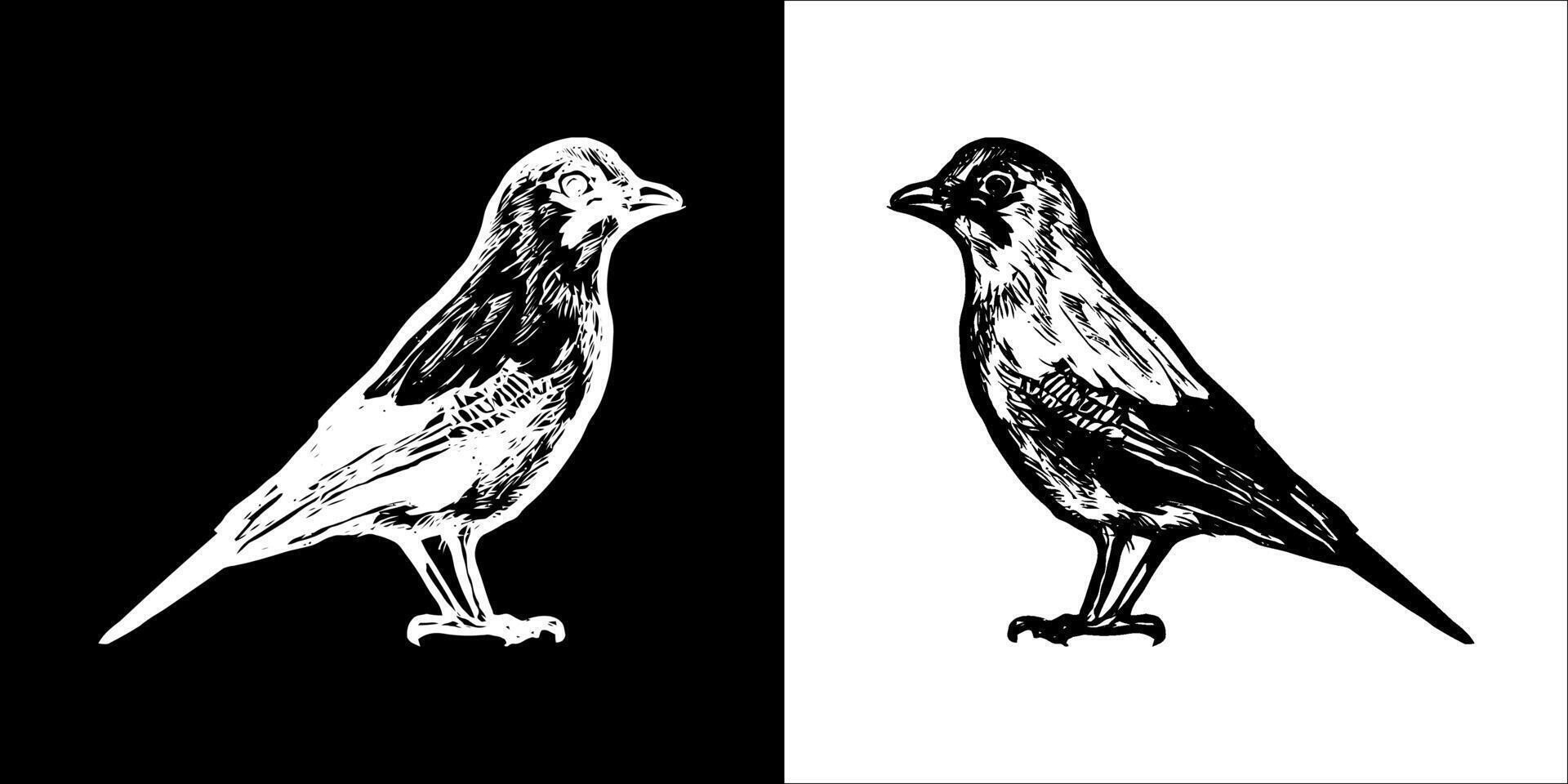 Illustration graphics of bird icon vector