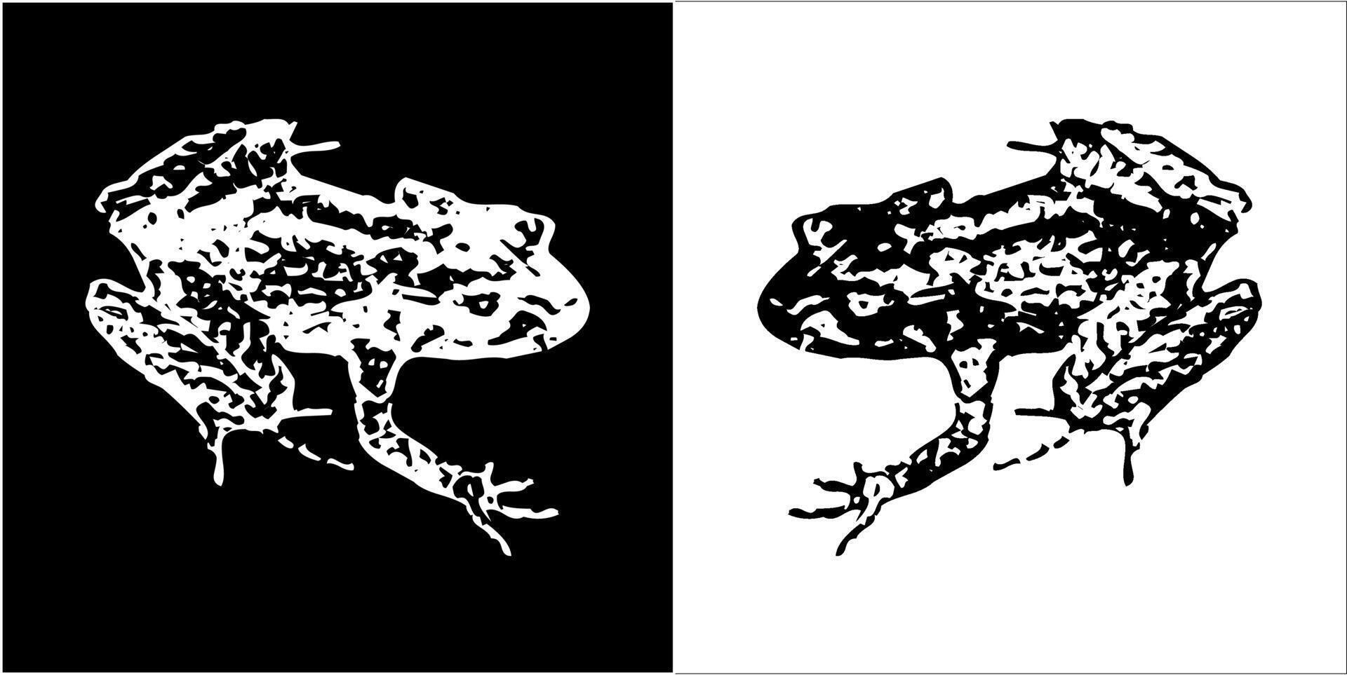 Illustration graphics of frog icon vector