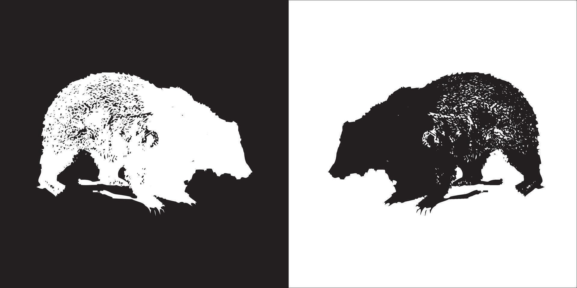 ilustración gráficos de oso icono vector