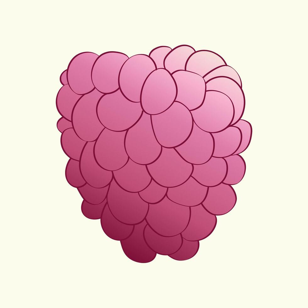 Pink raspberry, fresh and vibrant, displayed on a clean white background. The raspberries are ripe and plump, ready to be enjoyed as a healthy snack or in recipes vector