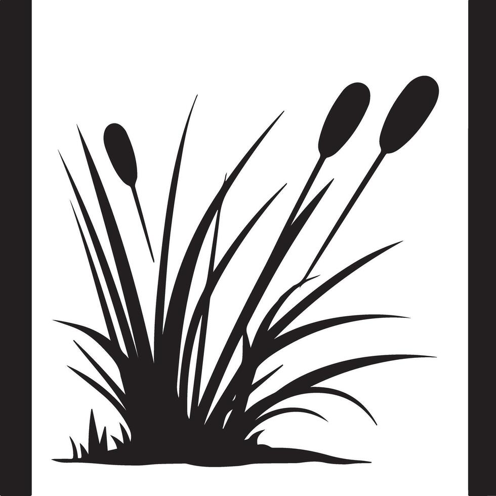 Silhouette Reed Plant Stock Photo vector