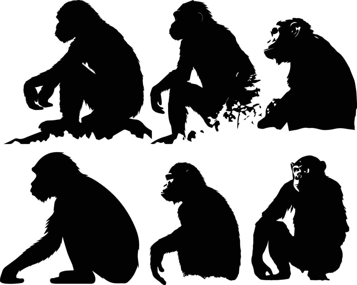 Silhouette Monkey Animal Stock Image vector