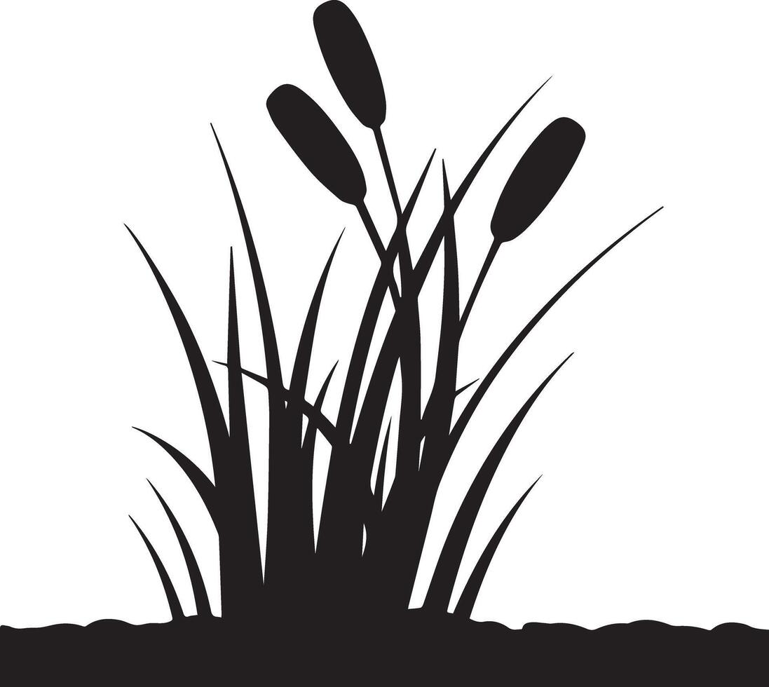 Silhouette Reed Plant Stock Photo vector