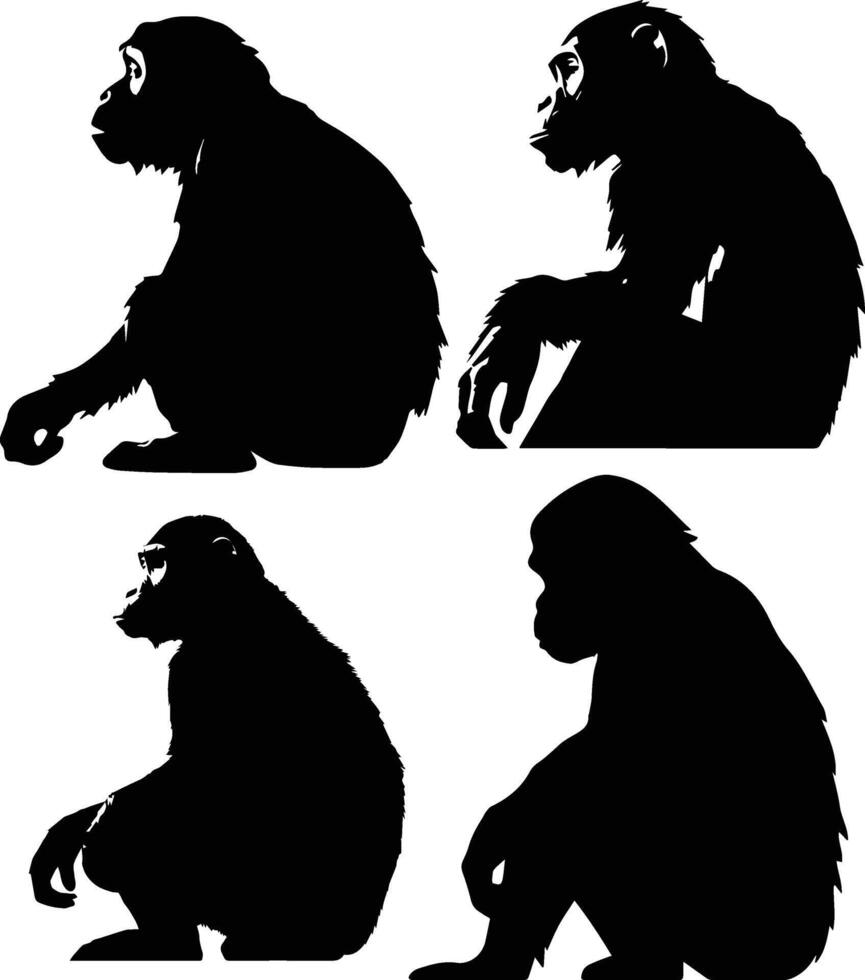 Silhouette Monkey Animal Stock Image vector