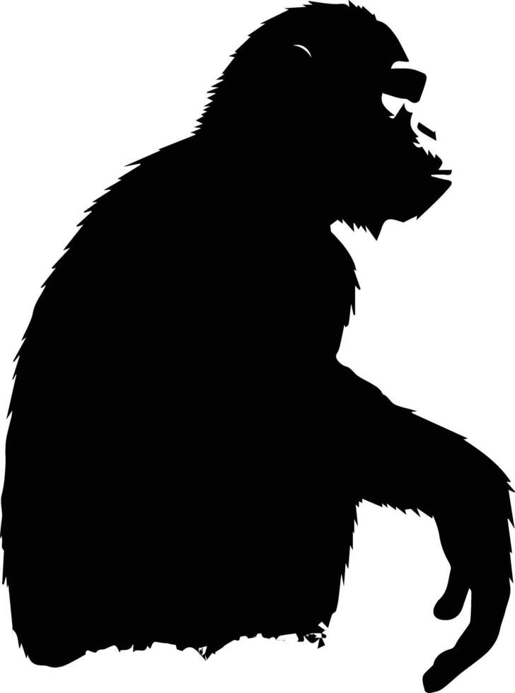 Silhouette Monkey Animal Stock Image vector