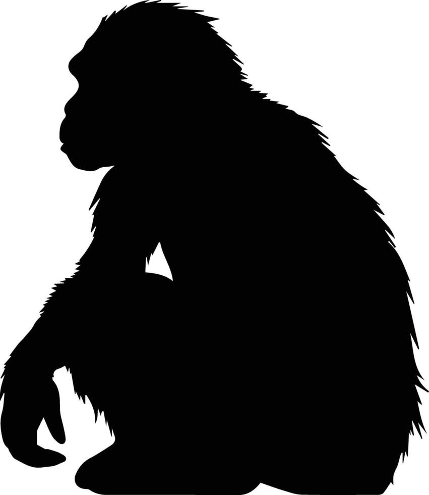 Silhouette Monkey Animal Stock Image vector