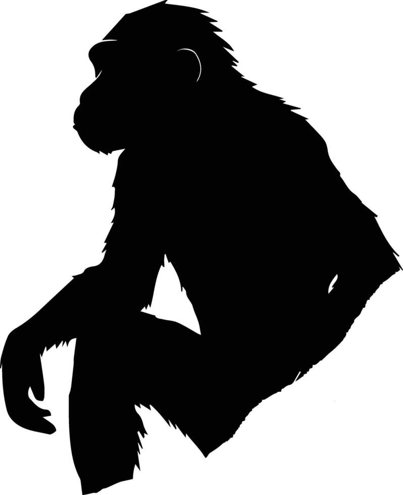 Silhouette Monkey Animal Stock Image vector